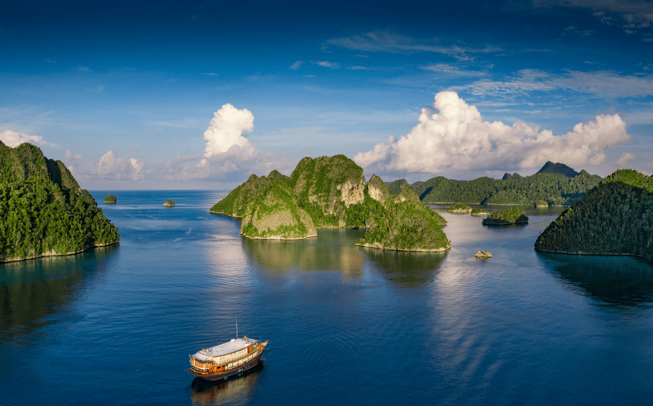 Raja Ampat Aerial Island View